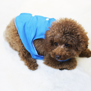 Chaleco para Perro Jiemeirui Azul Ml, Ropa para Mascotas para Teddy Bichon, Ropa de Otoño e Invierno - Product Image 3