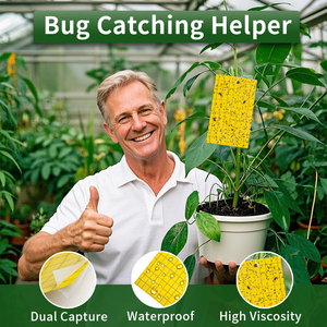 Fabrika sinek tuzak haşere kontrol yapıştırıcı <span class=keywords><strong>Fly</strong></span> böcek tutkal tuzağı tek kullanımlık sarı yapışkan kart tuzak - Product Image 4