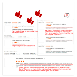 Grossista professionale frutta congelata e verdure surgelate con 20 anni di produzione e di esperienza di esportazione - Product Image 3