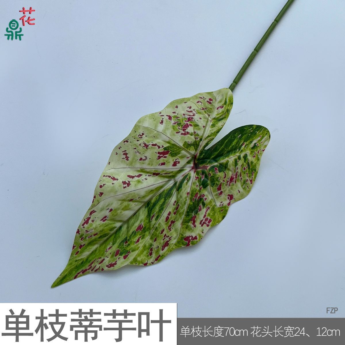 Feuilles de taro à tige unique FZP, taches rouges, vert foncé