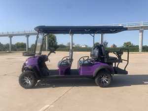 Premium 6 Seater Electric Golf Cart 48V/72V Luxury Golf <b>Buggy</b> for Family and Sightseeing <b>Travel</b> - Product Image 2