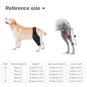 Pet Furniture Adjustable Breathable Pet Knee and <b>Thigh</b> Brace for Dogs - Joint Injury Recovery and Post-Surgery Immobilization - Product Image 6