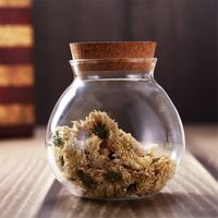 Bouteilles en verre transparentes, vides, rondes, de grande capacité, scellées, flacons, pots, contenants de stockage avec bouchon en bois