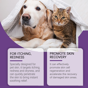 Crème antibactérienne pour chiens et chats, apaise les démangeaisons cutanées et favorise une guérison rapide, 20g, pommade pour animaux de compagnie, toutes saisons - Product Image 4
