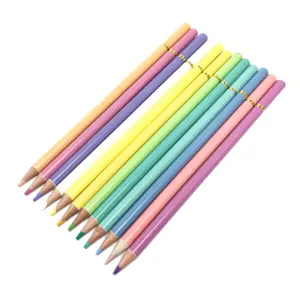 Benutzer definierte hochwertige Holz Pastell Farb stifte mehrfarbige Kinder Künstler Zeichnung Malerei Skizzieren Buntstifte Set