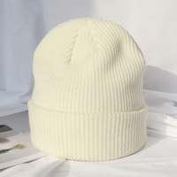 Bonnet en laine mérinos vierge personnalisé pour fabricants de laine, bonnet tricoté d'hiver beige en gros pour femmes et hommes, unisexe
