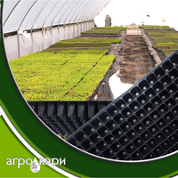 Plateau de semis en plastique PET robuste avec trous de drainage, 128 cellules, réutilisable, écologique, pour la propagation de légumes, d'herbes et de fleurs