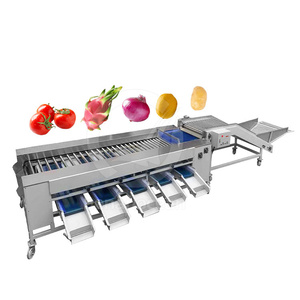 Macchina Automatica <span class=keywords><strong>per</strong></span> la Selezione, Lavaggio e Pesatura di Frutta e Verdura: Mele, <span class=keywords><strong>Patate</strong></span>, Pomodori, Arance, Avocado, Cipolle - Product Image 3