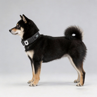 Traceur GPS pour chien, suivi en temps réel, positionnement précis, lecture de l'historique des trajets, clôture électronique, étanche IP66, compatible Android/iOS
