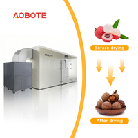 Automatische hetelucht droger voor voedselverwerking, warmtepompdroger voor het drogen van bananen, lychees en ananas