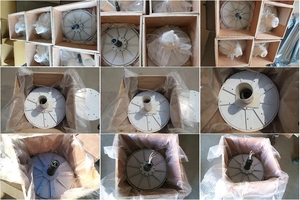 Alternador PMG de Baja Velocidad de 1 KW y 300 RPM para Sistema de Energía VAWT Pequeño - Product Image 1