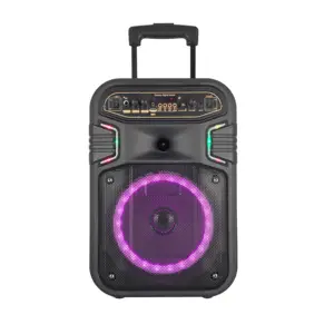 2022 Feifan 21 Jaar Fabriek Multifunctionele Soundbox Outdoor Home Dj Boombox 8 Inch Trolley Luidsprekers