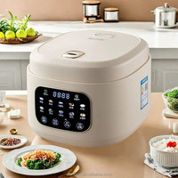 Cuiseur à riz électrique numérique pour cuisine domestique 2l/3l/5l multifonction à faible teneur en sucre Opiton Mini Porridge Congee Soup Maker
