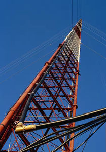 Grúa Torre L250-16 de 16 Toneladas a Precio de Fábrica, Soporte de Dibujo <span class=keywords><strong>CAD</strong></span> para la Construcción de Puentes, Plantas de Energía e Infraestructuras Grandes - Product Image 2