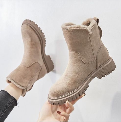 แอปริคอท