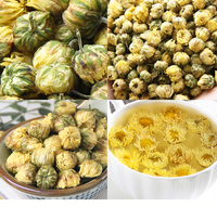 Vente en gros de fleurs de chrysanthème séchées de haute qualité, chrysanthème doré, thé santé, emballage en boîte