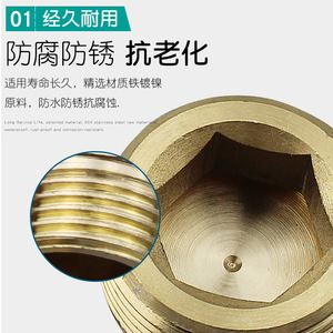 Liyuan Pneumatic Metal External Thread Pipe Fittings 1 Inch Internal Hex <b>Copper</b> Plug Blind <b>Screw</b> - Product Image 3