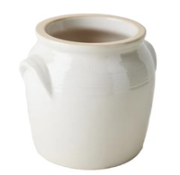 Pot de fermentation en céramique personnalisé, pot en grès de qualité restaurant, pour chou crue, avec couvercle et poids