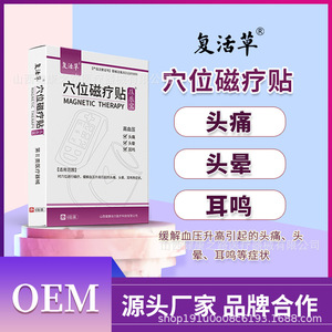 Parche de terapia magnética Fu Hua Cao Acupoint, 6 piezas, alivio de la presión arterial para dolor de cabeza, mareos, tinnitus, dispositivo médico de clase II - Product Image 3
