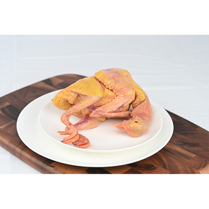 Pigeon fumé rôti Halal <span class=keywords><strong>Mature</strong></span> King, faible <span class=keywords><strong>en</strong></span> gras, riche <span class=keywords><strong>en</strong></span> nutriments, emballé sous vide pour une alimentation nutritive et les repas quotidiens <span class=keywords><strong>en</strong></span> famille - Product Image 3