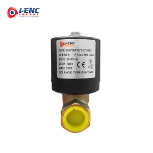 E6G S8 S10 SR8 SR10 1/2 GMO 13742002 18811053 220 V Serie Gassolenoidventil