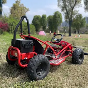 חולית לקנות 1000w חשמלי ללכת Kart חשמלי 2 מושבים ללכת Kart לילדים