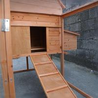 Poulailler en bois imperméable et cage pour animaux de compagnie pour poulets lapins chiens-motif animal toutes saisons