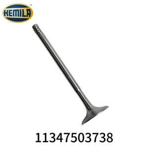 วาล์วไอดีแท้ HEMILA สำหรับรถยนต์ซีรีส์ 3 X1 X5 E53 N46 N62 รหัสอะไหล่แท้ 11347503738 อะไหล่ใหม่ ชุดวาล์วไอดี 8 ตัว ระบบวาล์วเครื่องยนต์ - Product Image 4