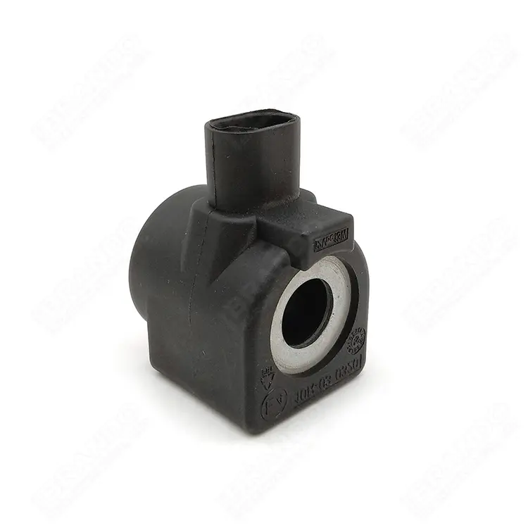 BB14233517 Bobine 10R-03 0320 Cng Reducer Elektronische Gas Regulator Cilinder Klep Verzegelde Sluit Solenoid Coil