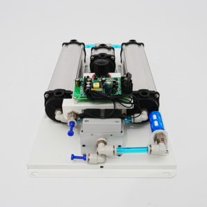 酸素発生器濃縮ガス処理機10lpm養殖 - Product Image 2