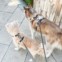 Harnais pour animaux de compagnie Sunraymascota, fabricant de harnais pour chiens, conception personnalisée, gilet pour chien imperméable en PVC, laisse, collier, ensemble de harnais pour chien