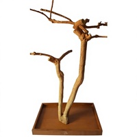 Perchoir en bois pour oiseaux Java, design branche naturelle, durable pour l'intérieur, style simple, écologique, fabriqué au Vietnam