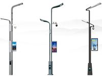 Le module Ip67 de bonne qualité haut pôle a mené le réverbère intelligent led lampadaire