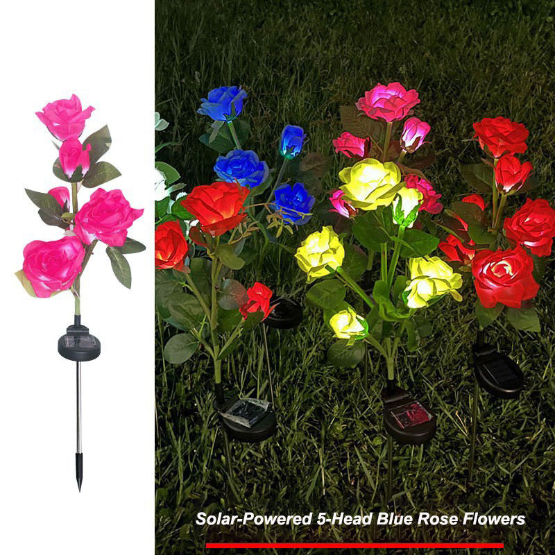 Rose à cinq têtes rose