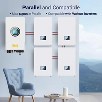 Batterie de stockage d'énergie solaire pour système domestique, fabriquée en usine, onduleur intelligent BMS, 8000 cycles, 51,2 V, 10 kWh, 200 Ah