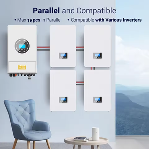 Заводской инверторный интеллектуальный BMS-контроллер на 8000 циклов, 51.2В, 10кВтч, 200Ач, для солнечных систем хранения энергии и домашних энергосистем - Product Image 2