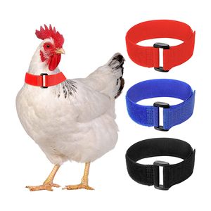 Collar Antiruido para Gallos, Cinturón de Nylon para el Cuello, para Evitar que los Gallinas Chillen y Alboroten a los Vecinos - Product Image 1