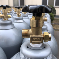 Cilindro de CO2 Plateado Personalizado de 8L con Asa, Botella Industrial sin Costuras de 15MPa