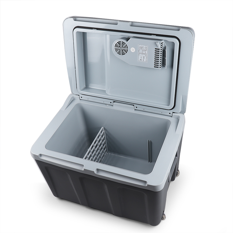 12v 110v cooler