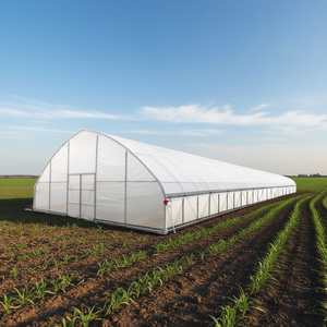 Invernadero Tipo Túnel de 30' X 150' D0100X3ARHX con Lámina Transparente de EVA de 6 Mil y Laterales Enrollables para Uso Agrícola - Product Image 2