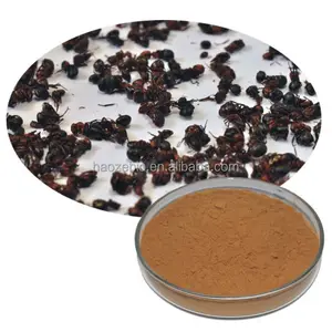 Factory Supply Raw Powder Black Ant Extract Capsules/Black Ant Extract Powder