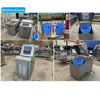 Industriële centrifugale ontwateringsmachine SUS304 food grade groente- en fruitcentrifuge voor saladeverwerking