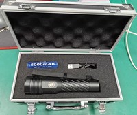 Lampe torche laser verte portable pour dissuader les oiseaux, pour le contrôle des oiseaux en extérieur, fermes, champs agricoles, aéroports, entrepôts
