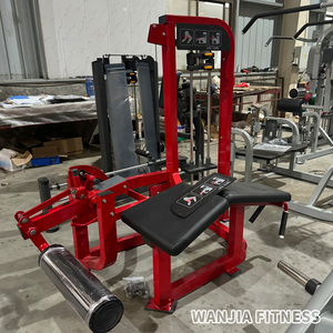 Machine de musculation multifonctionnelle professionnelle avec système à disques pour exercices de curl et extension des jambes à plat - Product Image 6