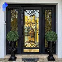 Ensemble de portes en fer forgé de style traditionnel avec panneaux en verre transparent et motif de volutes symétriques