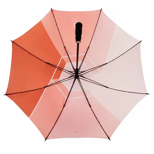 Giữa đến cao cấp 30inch đơn lớp Golf chi phí hiệu quả siêu Windproof ô - Product Image 4