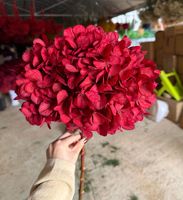 Vente en gros de grandes feuilles de hortensia rose stabilisées pour Thanksgiving, fleurs éternelles préservées à la glycérine, respectueuses de l'environnement, longue durée