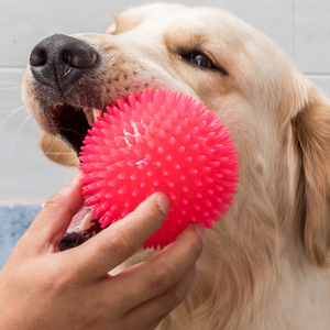 Boule <span class=keywords><strong>pour</strong></span> <span class=keywords><strong>chien</strong></span> de compagnie, de grande taille, Durable, à mâcher, jouets popper, grande, en tpe, d'extérieur, <span class=keywords><strong>pour</strong></span> la maison - Product Image 5