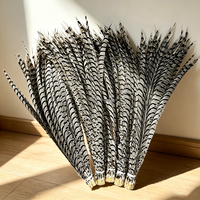 Plumes de queue de faisan Lady Amherst zébrées super longues (80-90cm, 90-100cm) pour costumes de carnaval et fournitures de fête - Vente en gros