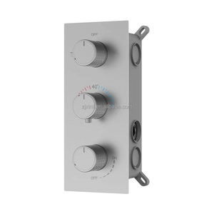 X8949w3bs trong treo tường vật liệu đồng thau của 2 chức năng tĩnh nhiệt che giấu vòi hoa sen tap - Product Image 4